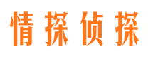 西沙侦探公司